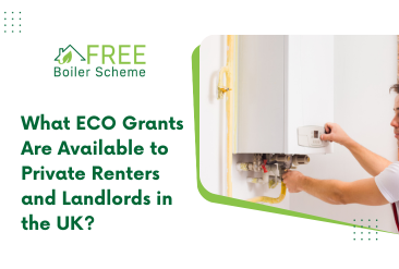 What ECO Grants Are Available to Private Renters and Landlords in the UK?